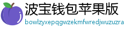 波宝钱包苹果版